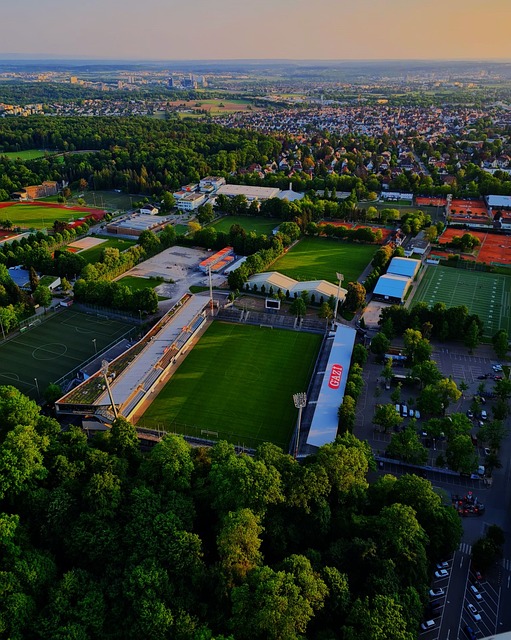 官方：26岁的前比利时国脚、国米旧将范赫斯登退役