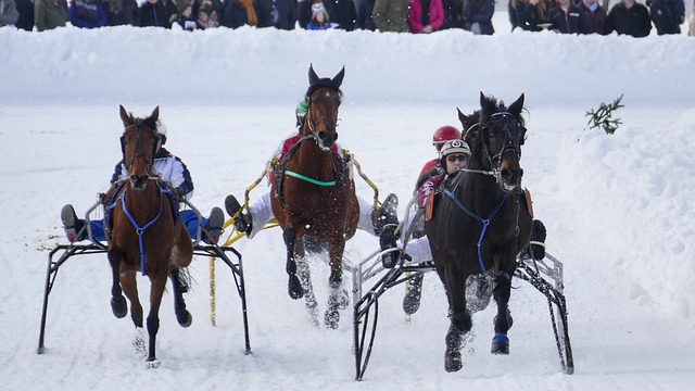 即便如此 即便如此