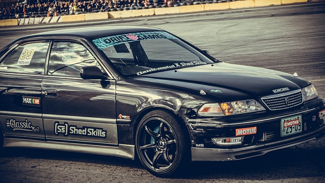 他们的转会 他们的转会