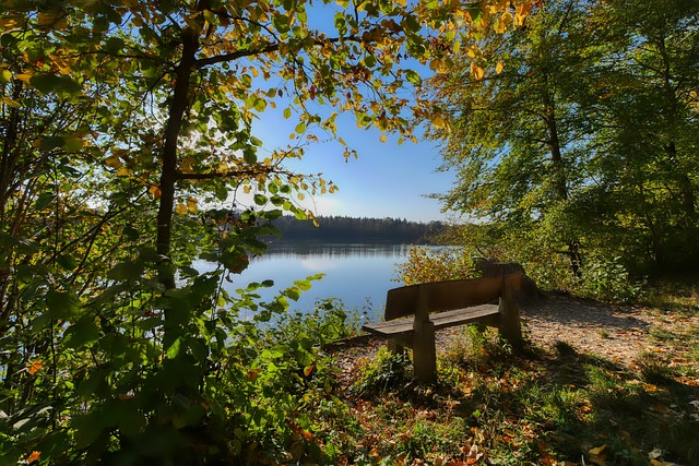 这为艾迪尔 这为艾迪尔