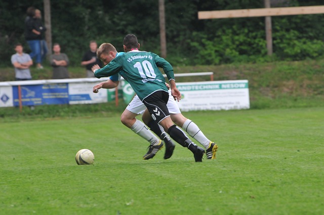 作為荷蘭國 作為荷蘭國