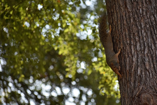 理才能和改 理才能和改