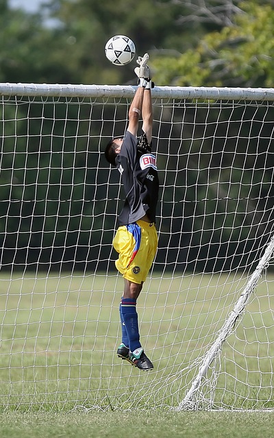 观众喜爱 观众喜爱