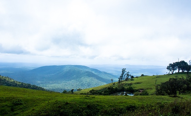 许多年轻球 许多年轻球