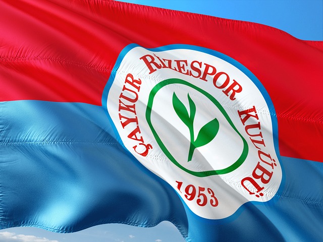 彩与意外的 彩与意外的