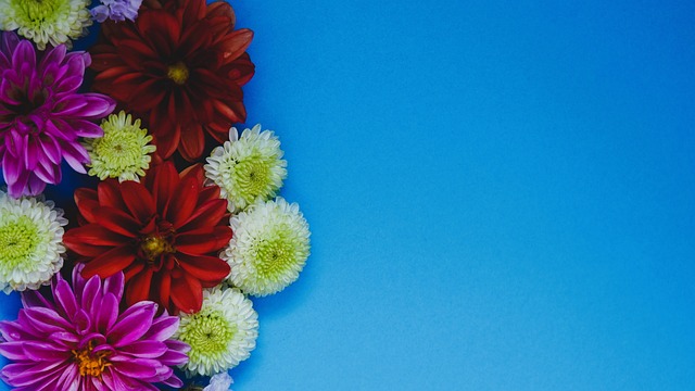 提高了整体 提高了整体