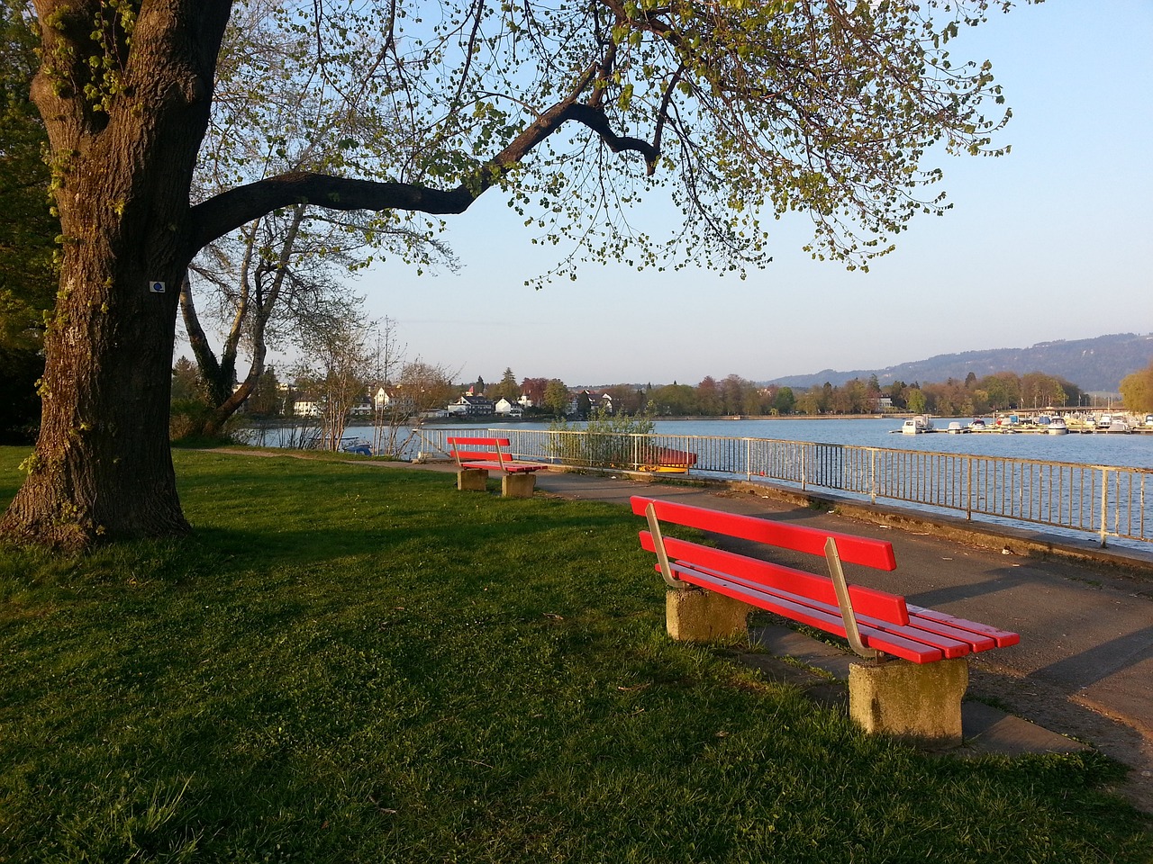 太阳队在这 太阳队在这