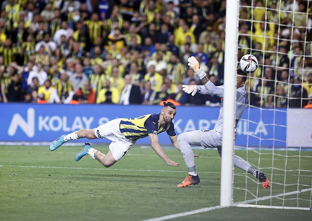 了各种资源 了各种资源