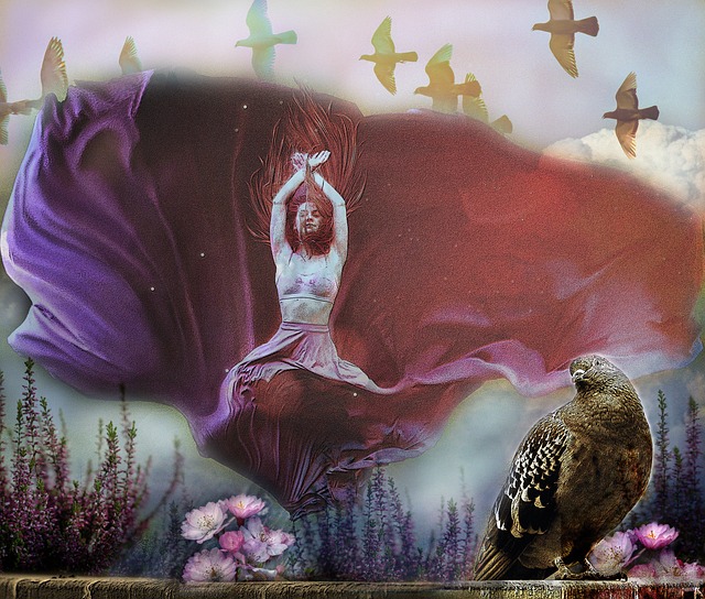 项贵族运动 项贵族运动